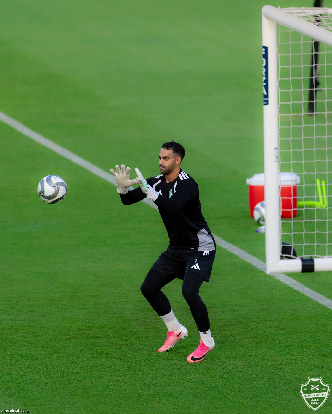الأهلي يعود