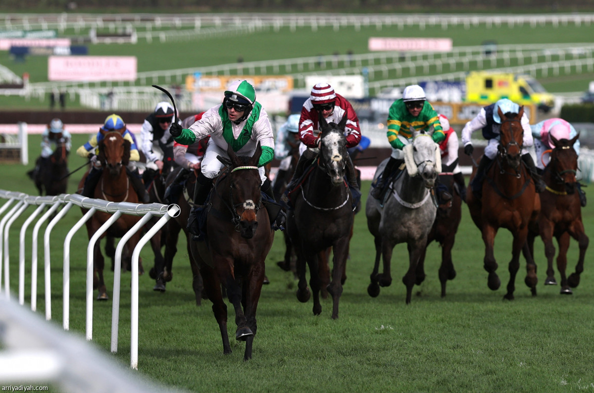 سباق شلتنهام