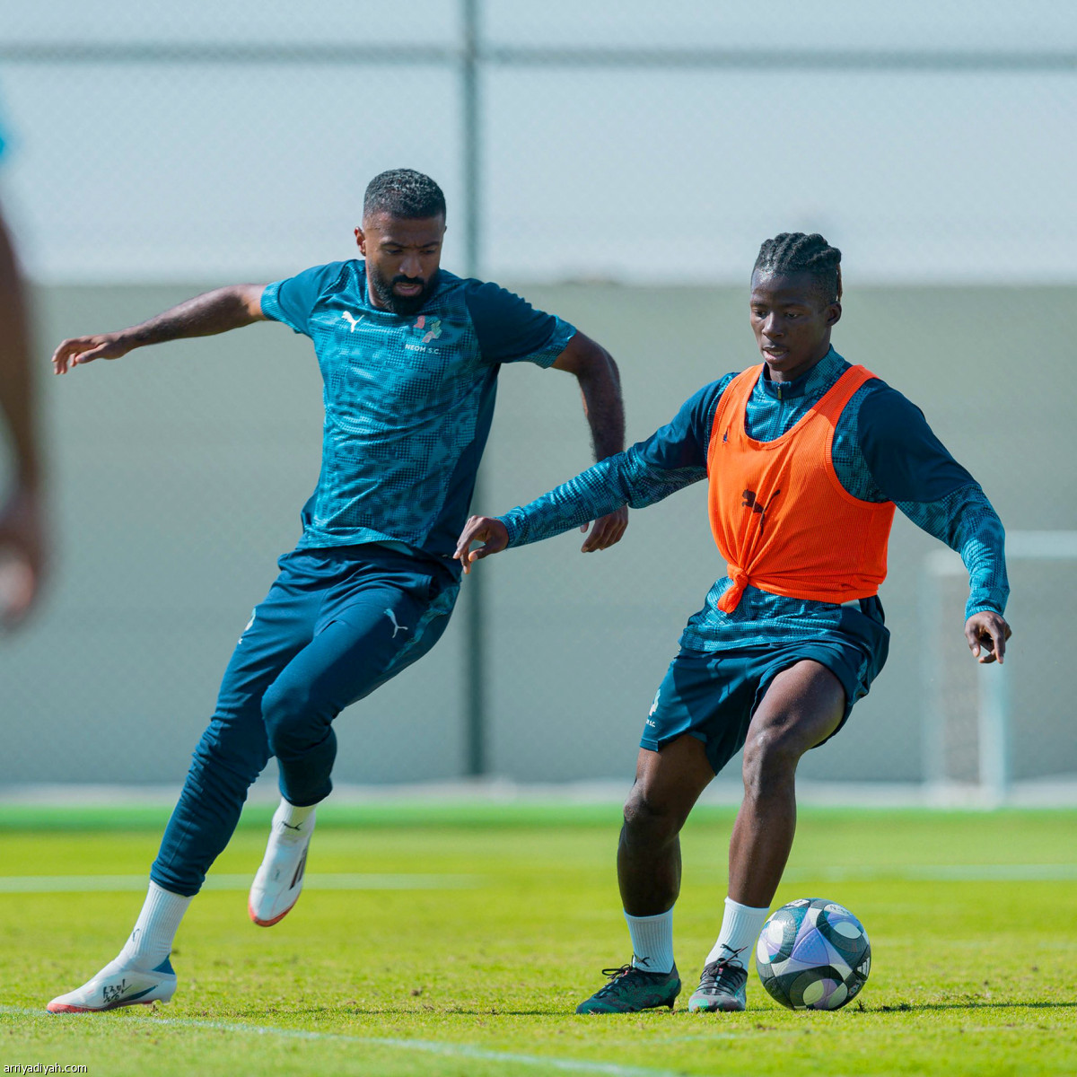 اللمسات الأخيرة