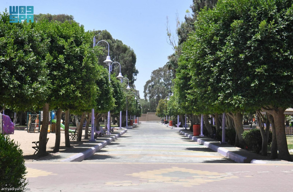 600 متنزه تستقبل زوار عسير في العيد