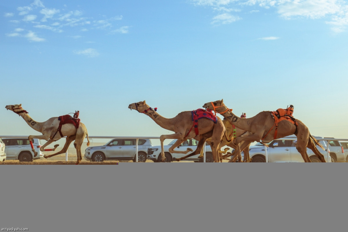 تفاعل الملاك
