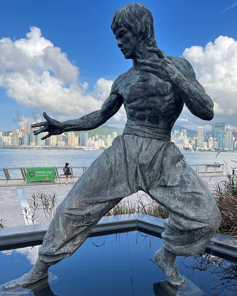 ميناء سبب التسمية.. وديزني وفيكتوريا وبروسلي الرهان الأكبر