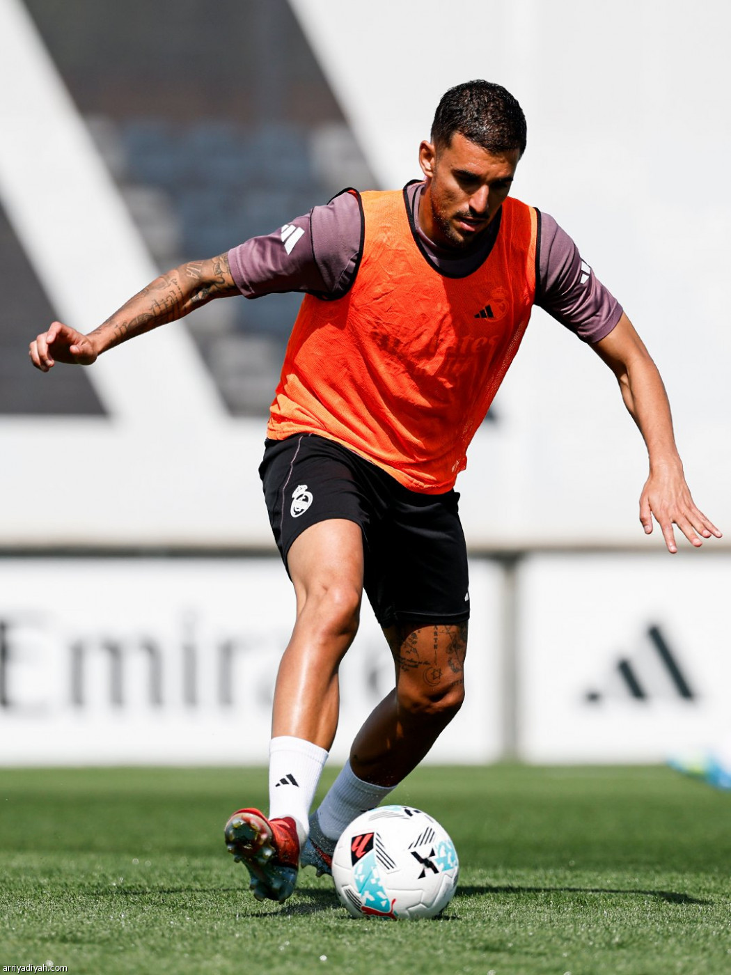 الريال مستعد