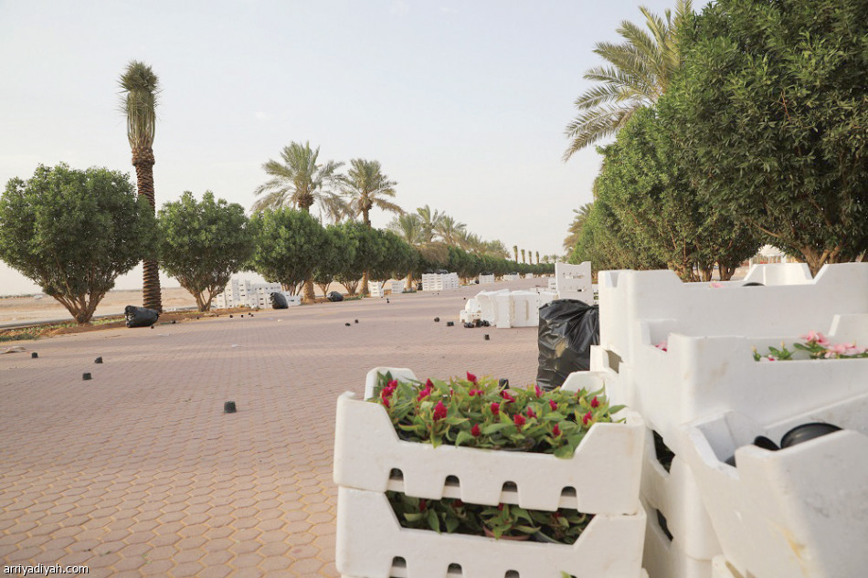 الدرة.. 
6 بوابات تستقبل الجماهير