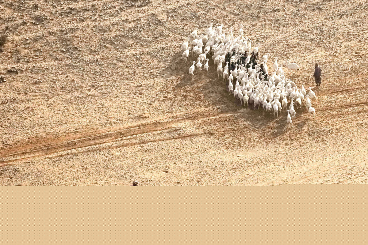 تنافس مستمر