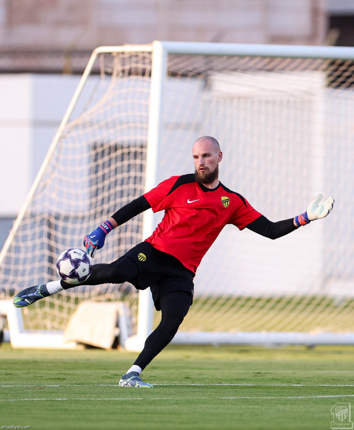 «النمور» تكمل التحضيرات