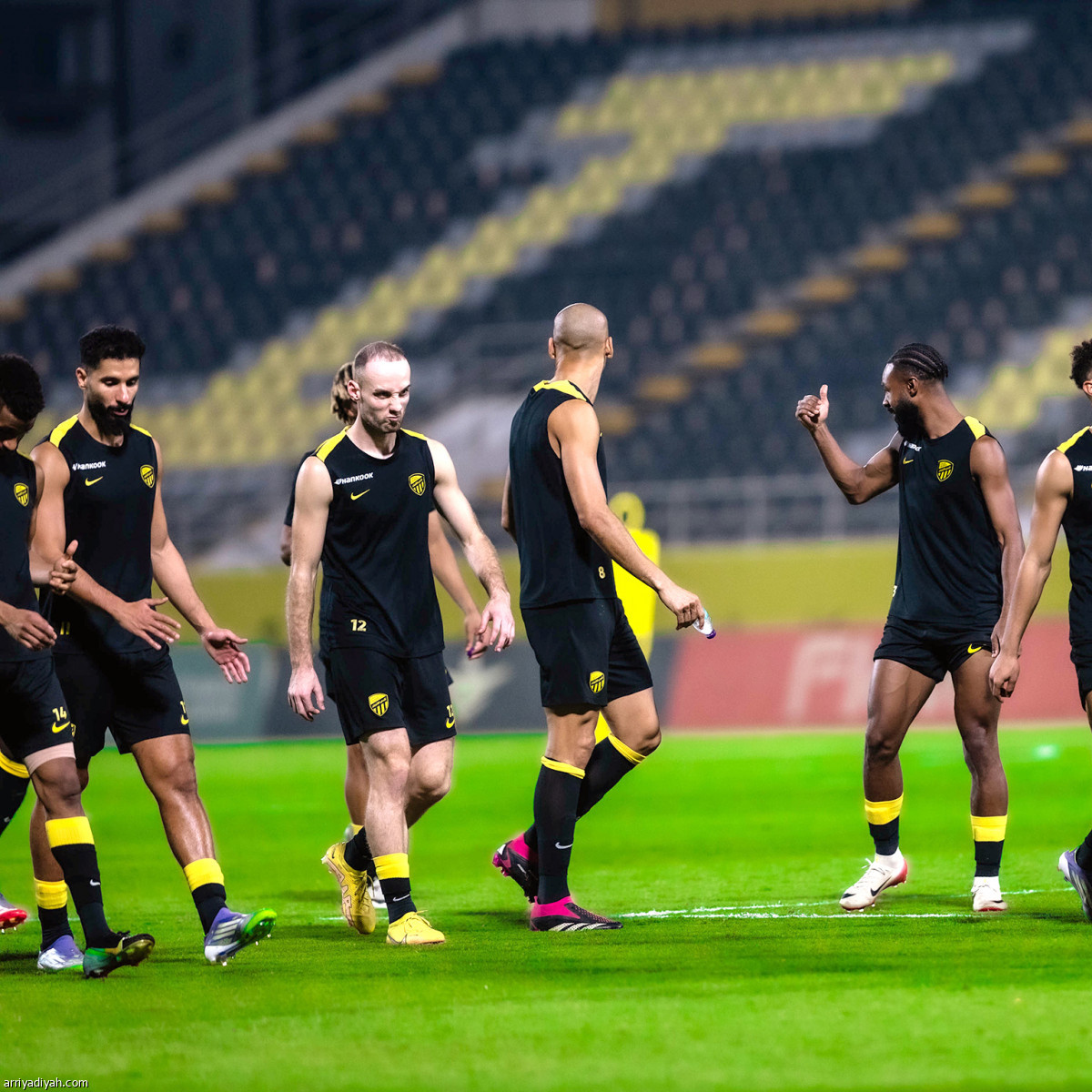 «النمور» يتجهزون