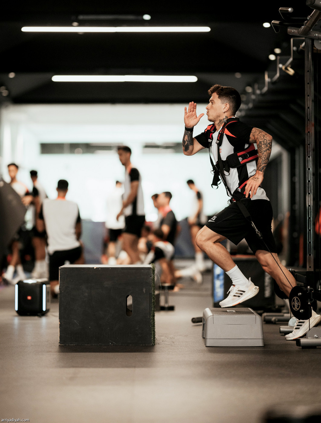 تقوية عضلات