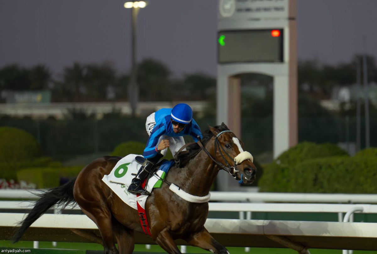 فرسان كأس السعودية