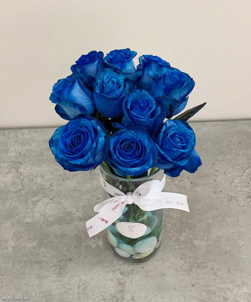 روان
تحارب الاستغلاليين بـ «غصن مزهر»