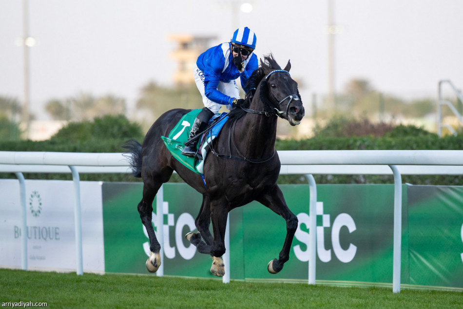 سونيك
يطير بملايين البحر الأحمر