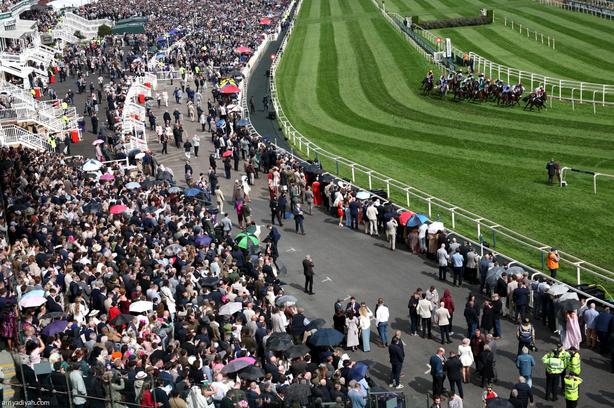 ختام المهرجان