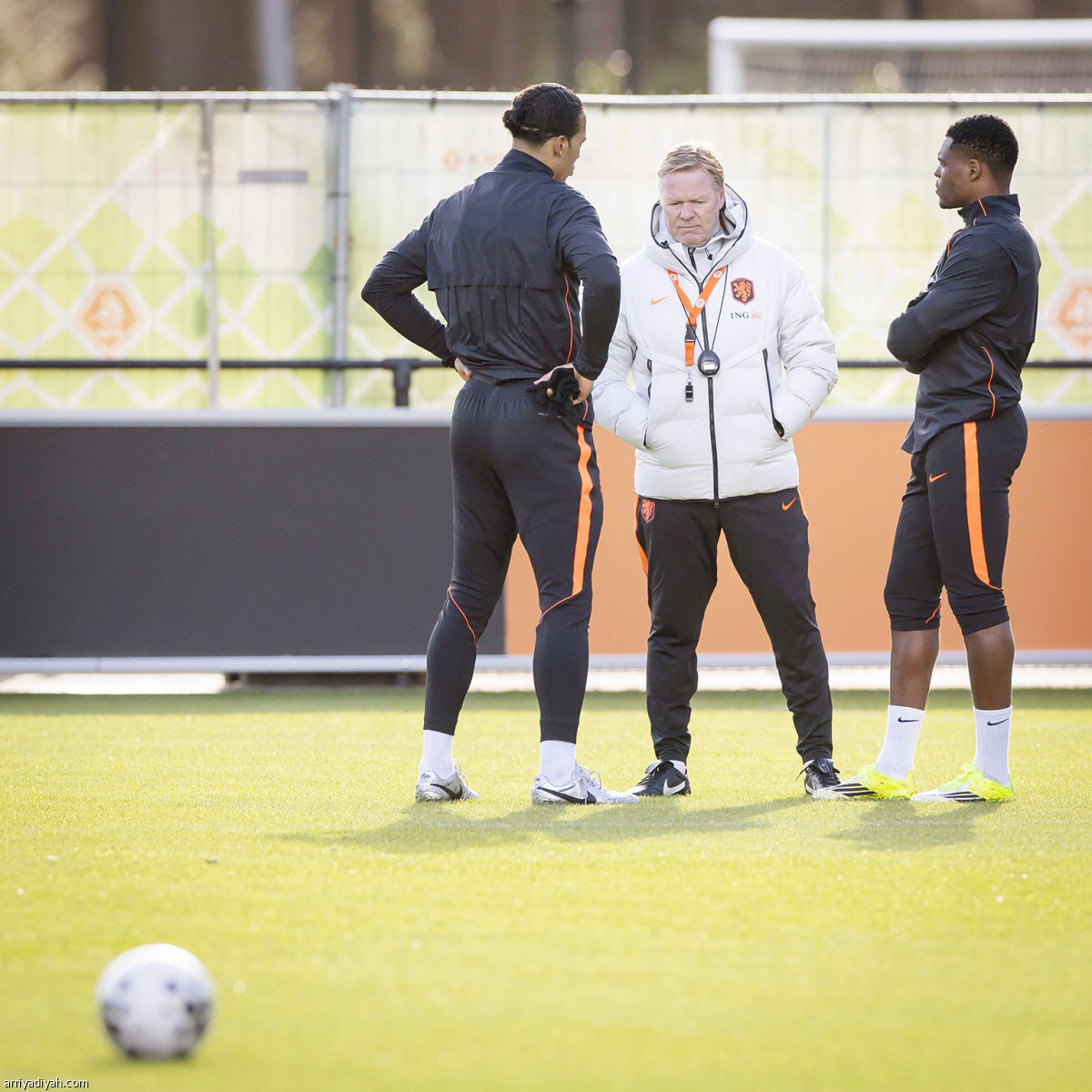 ترفيه هولندي